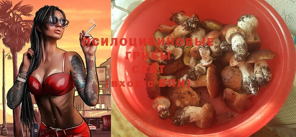 кокс Баксан